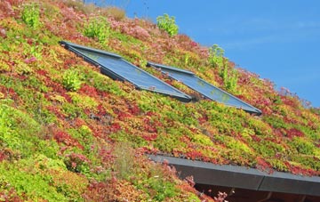 Aberchalder living roof systems