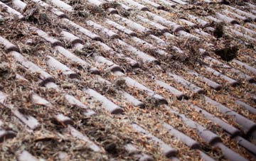 Aberchalder roof cleaning companies